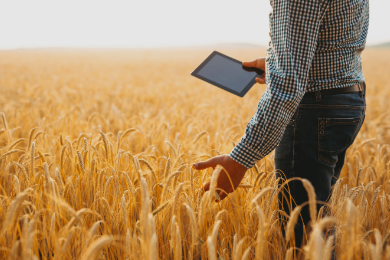 A importância da gestão eficiente no agronegócio
